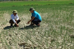 Bắc Bộ và Trung Bộ đón đợt nắng nóng trên diện rộng