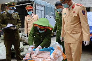 Chở 3,3 tấn nầm lợn đông lạnh bị nấm mốc đi tiêu thụ