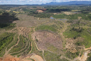 Đắk Nông: Điều tra vụ phá rừng quy mô lớn trên địa bàn huyện Đắk Glong