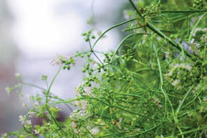 30 Tết, ngát hương mùi già 30 Tết, ngát hương mùi già