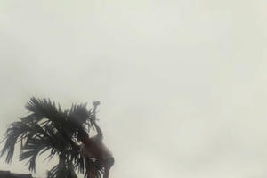 Hà Nội: Cần xác minh hành vi có dấu hiệu huỷ hoại tài sản công dân?