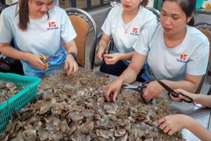 Thực hiện Chương trình quốc gia hỗ trợ doanh nghiệp nâng cao năng suất và chất lượng sản phẩm, hàng hóa