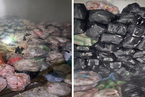 Thu giữ gần 2 tấn thực phẩm đông lạnh không đảm bảo vệ sinh