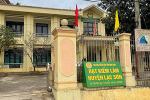 Hoà Bình: Khởi tố nguyên Hạt phó Kiểm lâm nhận hối lộ cho phá rừng