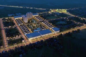 Vụ chấp nhận mất trắng 45 tỷ đồng đặt cọc vì hủy trúng đấu giá đất: Doanh nghiệp không thể vô can