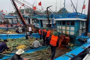 Bộ Quốc phòng huy động hơn 346.000 cán bộ chiến sĩ, sẵn sàng ứng phó với cơn bão số 3 Wipha