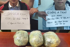 Bắt khẩn cấp hai anh em ruột vận chuyển số lượng lớn heroin