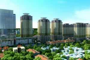 TP.Hồ Chí Minh: Nhiều doanh nghiệp xây dựng vất vả vì... giấy phép TP.Hồ Chí Minh: Nhiều doanh nghiệp xây dựng vất vả vì... giấy phép