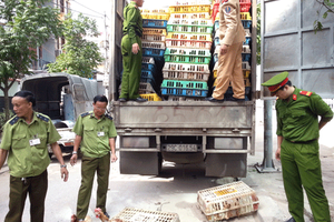Siết chặt buôn lậu gia cầm, chặn đứng nguy cơ bùng phát dịch cúm A
