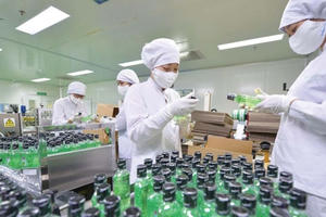 Traphaco bị xử phạt và truy thu thuế hơn 2,4 tỷ đồng