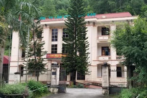 Hơn 4.000 ha rừng tự nhiên ở Bắc Kạn đã đi đâu?