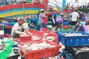 Nghệ An: Thu 4 nghìn tỷ đồng từ đánh bắt thủy sản 10 tháng đầu năm