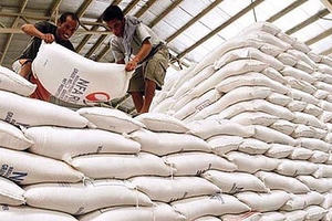 Xuất cấp hơn 5.500 tấn gạo hỗ trợ người dân dịp Tết Nguyên đán và giáp hạt 2025