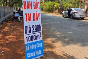 Tước chứng chỉ môi giới, đình chỉ sàn giao dịch nếu vi phạm