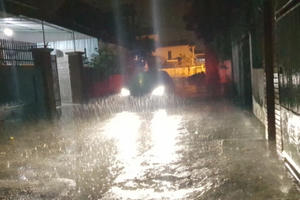 “Mưa vàng” hạ nhiệt “chảo lửa” thành Vinh