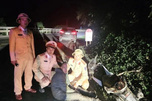 Quảng Trị: Bắt giữ vụ vận chuyển 18.000 viên ma túy tổng hợp