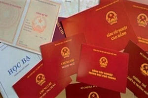 Phát hiện nhiều cán bộ cấp xã ở Gia Lai dùng bằng giả