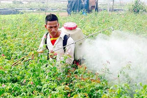 Giật mình thiết bị bảo hộ lao động thiếu an toàn