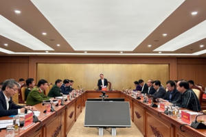 Năm 2022, Ban chỉ đạo 389 đã phát hiện, xử lý gần 140.000 vụ vi phạm