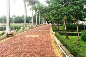 Chủ tịch nước yêu cầu làm rõ vụ dâm ô trẻ em ở Bà Rịa - Vũng Tàu