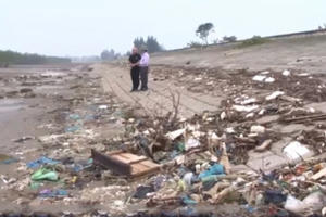 Rác thải bủa vây rừng phòng hộ ven biển Rác thải bủa vây rừng phòng hộ ven biển