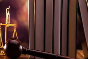 4 Luật, 8 Nghị định có hiệu lực trong tháng 1/2023