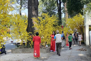 TP HCM yêu cầu người dân hạn chế tối đa việc đi lại, họp mặt và chúc Tết 2021