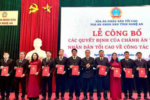 Nghệ An có 12 tòa án khu vực