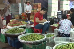 Tràn lan hoa quả Trung Quốc gắn mác Việt