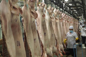 Bộ Công an 'giải cứu' hơn 3.600 tấn thịt heo