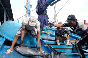 Chuyển đổi một số nghề khai thác hải sản ảnh hưởng đến môi trường sinh thái