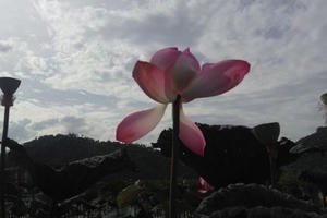 Tháng Bảy, thương nhớ người đi xa Tháng Bảy, thương nhớ người đi xa