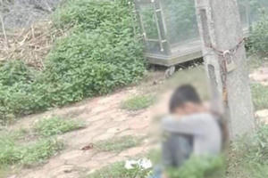 Phẫn nộ với hình ảnh cháu trai 10 tuổi bị bố xích vào cột điện ở Lạng Sơn