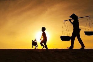 Radio Yêu thương Plus số 14: Con vẹt xanh Radio Yêu thương Plus số 14: Con vẹt xanh