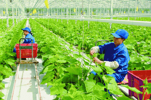 Một số chính sách quan trọng sẽ có hiệu lực từ cuối tháng 4/2021