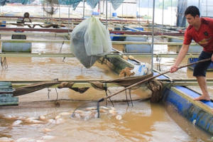Cảnh báo sạt lở, lũ quét vùng hạ lưu sông Đồng Nai Cảnh báo sạt lở, lũ quét vùng hạ lưu sông Đồng Nai