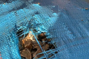 Quảng Ninh: Bắt gần nửa triệu bao thuốc nhãn mác Trung Quốc và hàng chục tấn dược liệu không rõ nguồn gốc