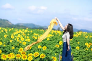 "Ngàn mặt trời rực rỡ" chốn Miền Tây xứ Nghệ