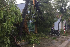 Thừa Thiên Huế: Hàng trăm ngôi nhà bị tàn phá do ảnh hưởng bão số 10 Thừa Thiên Huế: Hàng trăm ngôi nhà bị tàn phá do ảnh hưởng bão số 10