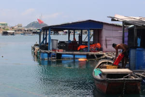 Đảo Phú Quý tháng 4 đắm say lòng người