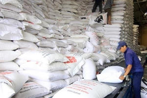 Hỗ trợ gạo cho tỉnh Nghệ An trong dịp Tết Nguyên đán Canh Tý 2020