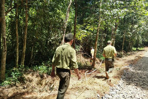 Những người giữ rừng không tên, thầm lặng giữa đại ngàn