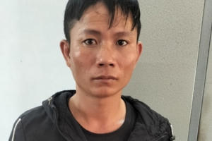 Tạm giữ đối tượng lái xe tải từ Đắk Lắk sang huyện Sông Hinh trộm trâu, bò