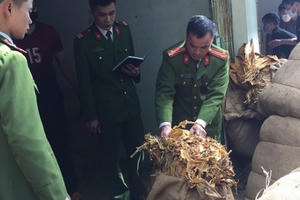 Cao Bằng: Thu giữ 41.682kg thuốc lá thẩm lậu từ Trung Quốc