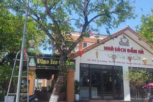 UBND tỉnh Quảng Ninh cần làm rõ việc cho mượn và thuê tài sản công tại huyện Đầm Hà