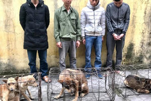 Cảnh sát nổ súng, bắn đạn hơi cay khống chế “cẩu tặc” ôm kiếm cố thủ