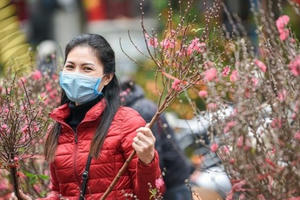 Tết 2022, Hà Nội tổ chức 78 điểm chợ hoa Xuân