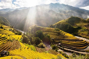 Thể chế, chính sách và nguồn lực - “kiềng 3 chân” để phát triển văn hóa