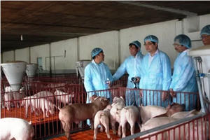 Bộ trưởng của những quyết sách và hành động