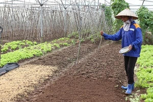 Khoa học công nghệ thúc đẩy phát triển vùng dân tộc thiểu số và miền núi